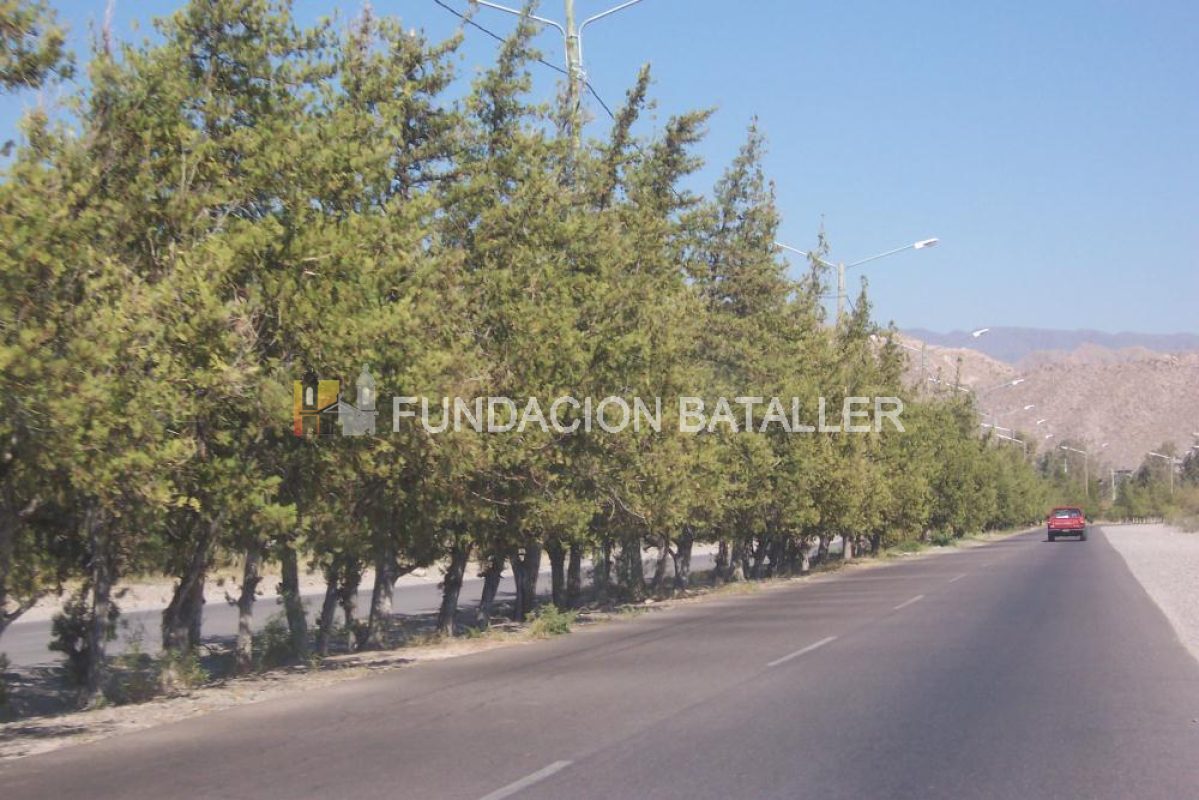 Un auto, 4 bicicletas y una moto impactaron en Rivadavia