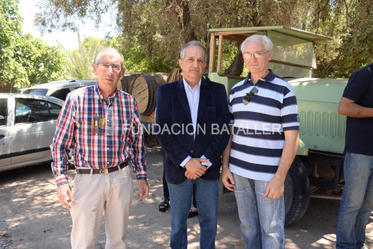 Beneficios para viñateros