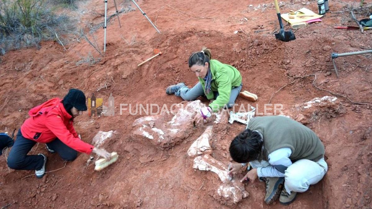 9 de julio. Encuentran restos de dinosaurio gigante en San Juan