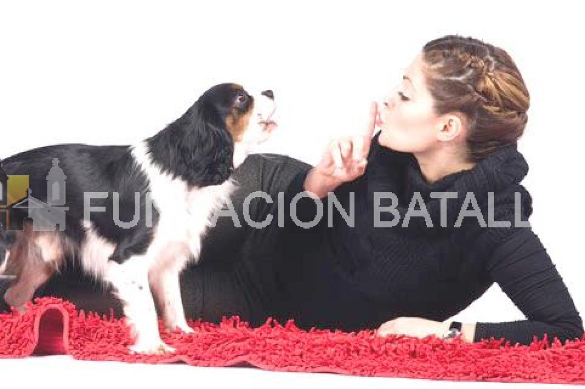 ¿De qué hablas con tu perro?
