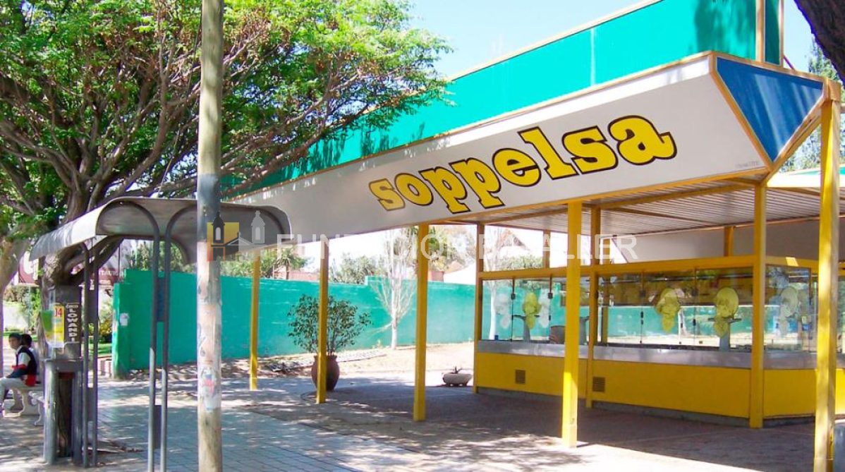 Soppelsa. Un apellido ligado a la industria del helado