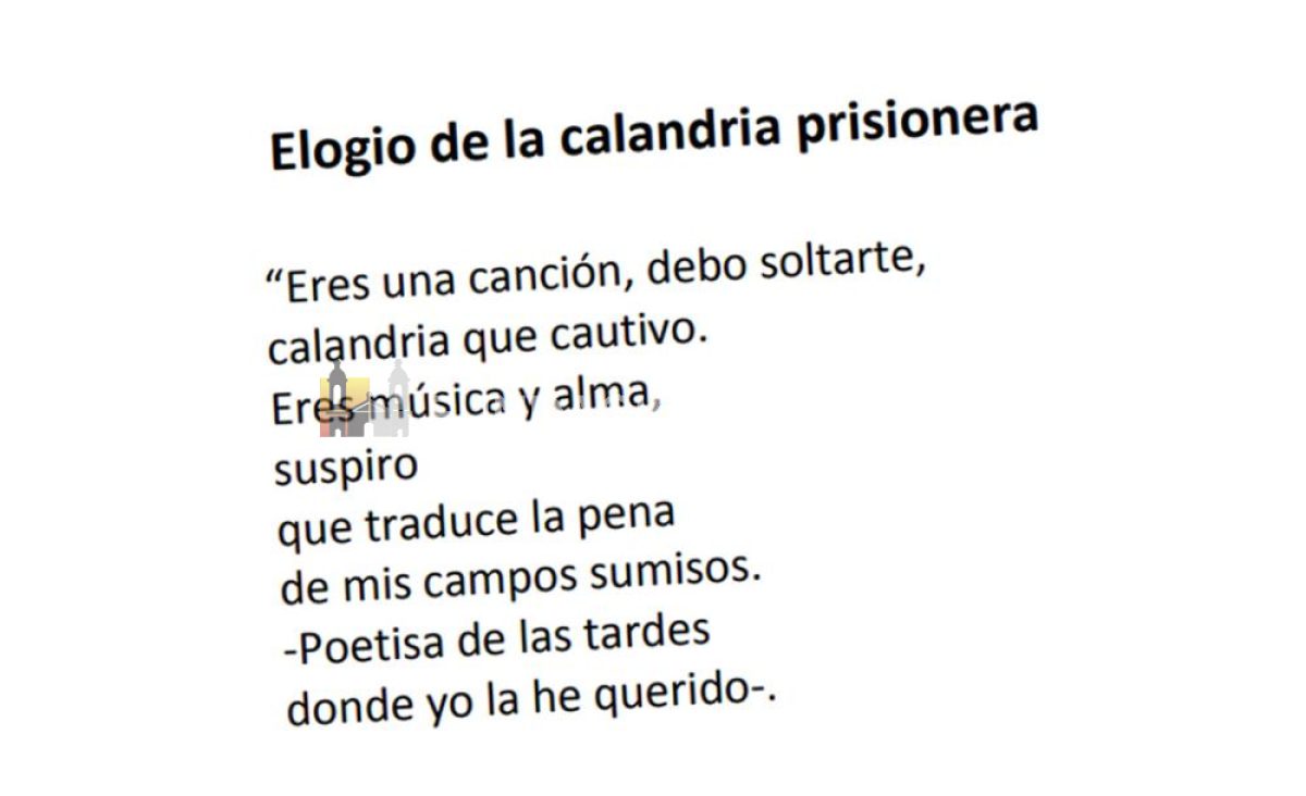 Elogio de la calandria prisionera