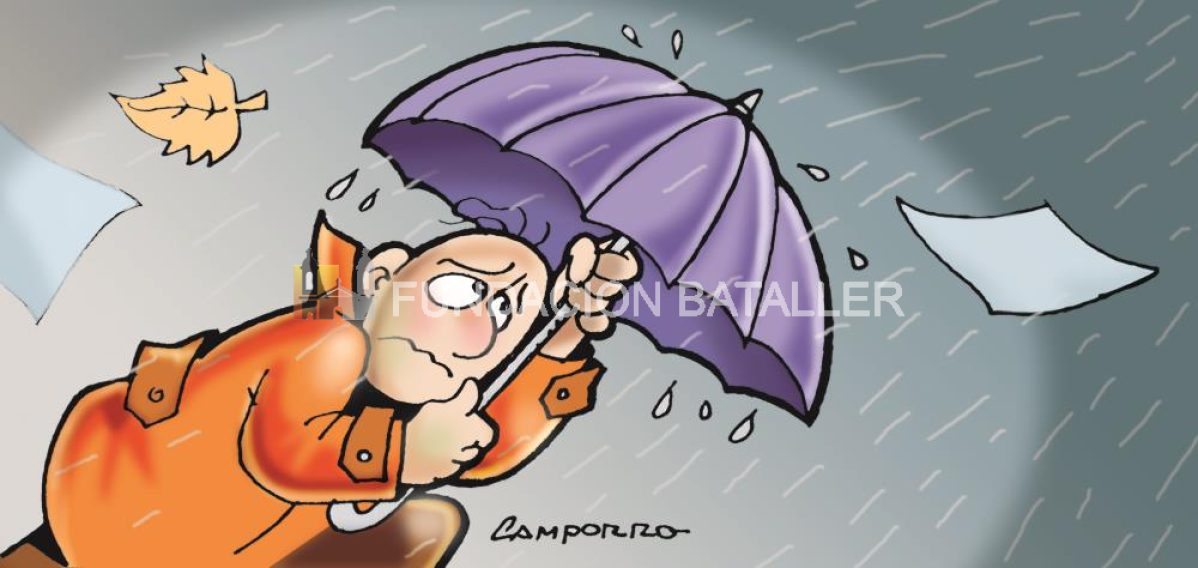 La prodigiosa vida de las palabras!!!