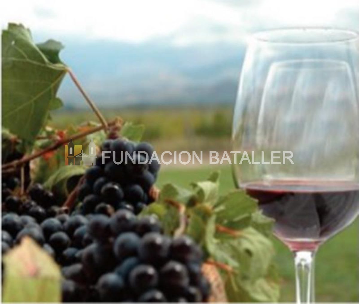 La vid y el vino en las adivinanzas cuyanas…