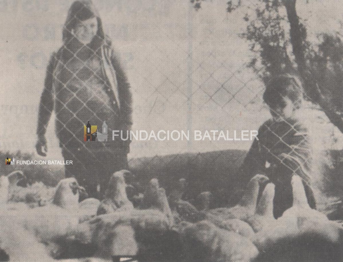 Jorge y Beatriz Navarro, ex colonos. Aquellos años de sueño y trabajo en Tucunuco