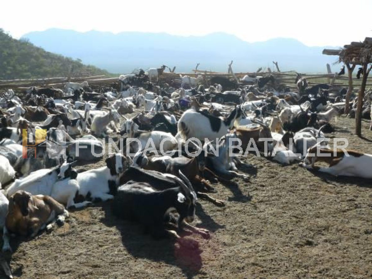 Maipirinqui. La comunidad perdida