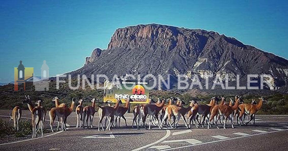 Lo bueno que dejó el aislamiento