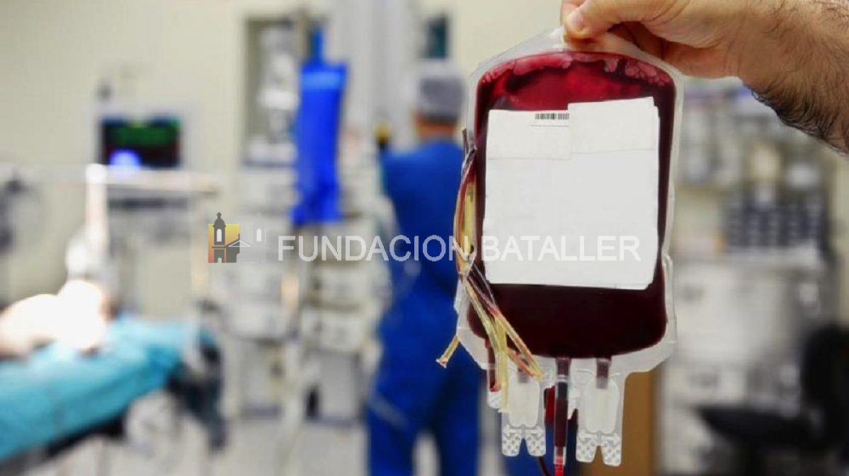 Proponen Ley para motivar la donación de plasma de recuperados de Covid-19