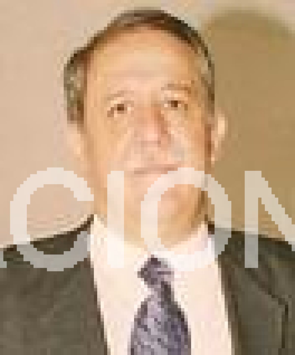 Pedro Vicente Belenguer