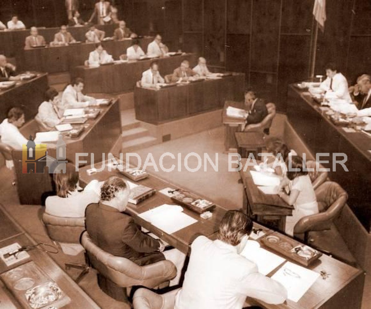 Los constituyentes olvidados