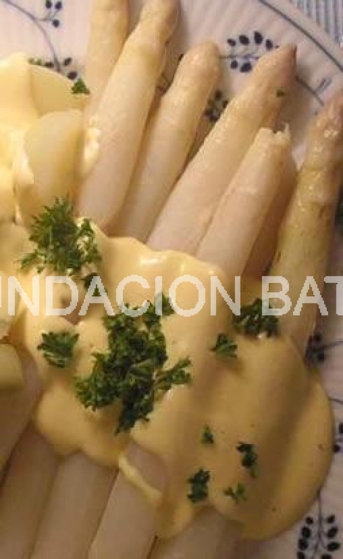 Espárragos con salsa holandesa