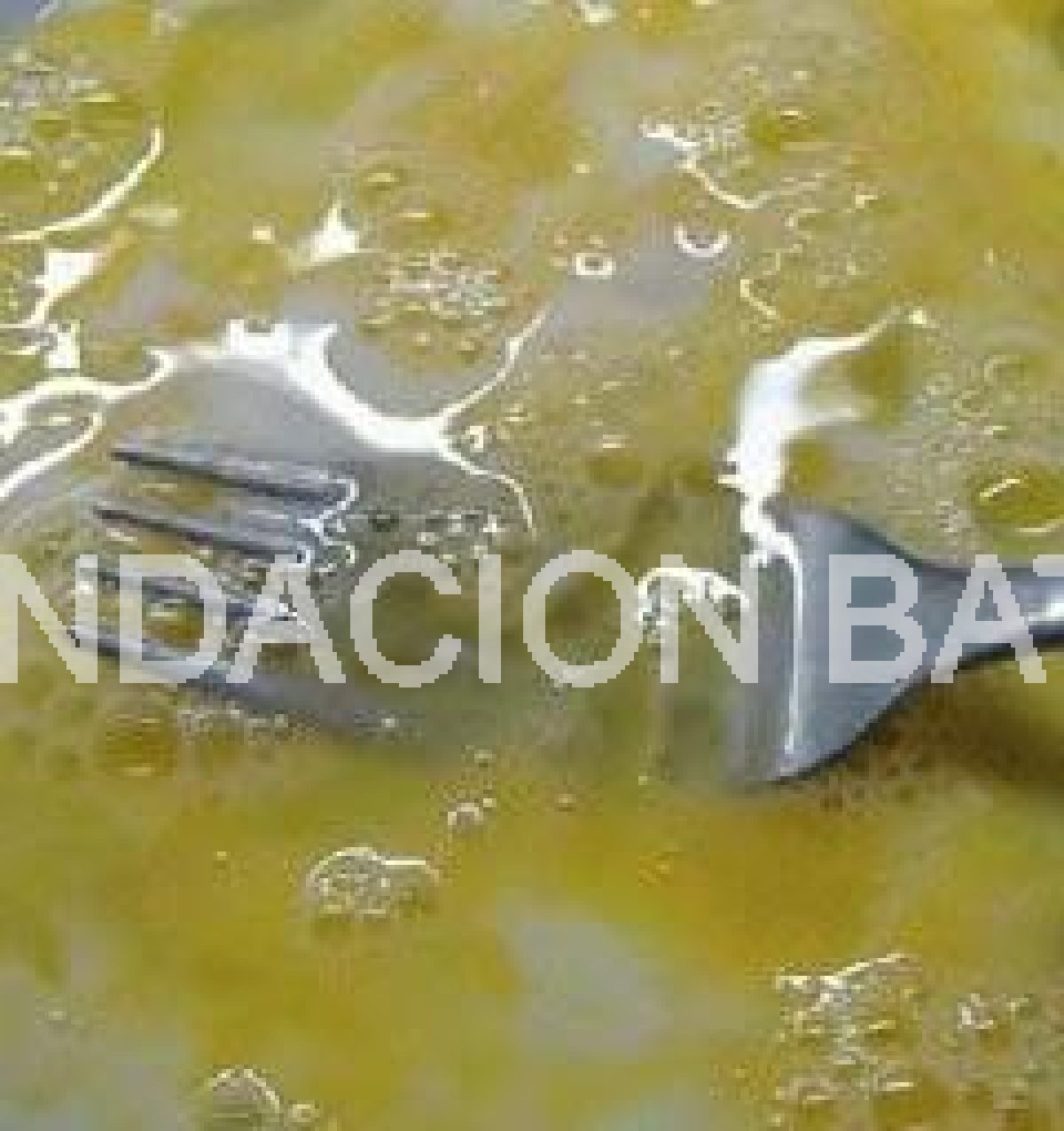 Tortilla Cosaco