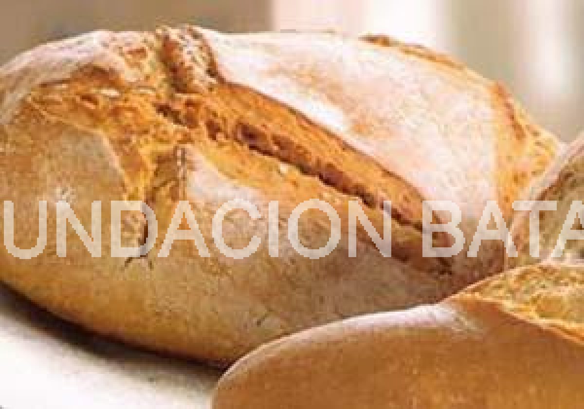 Bollos criollos
