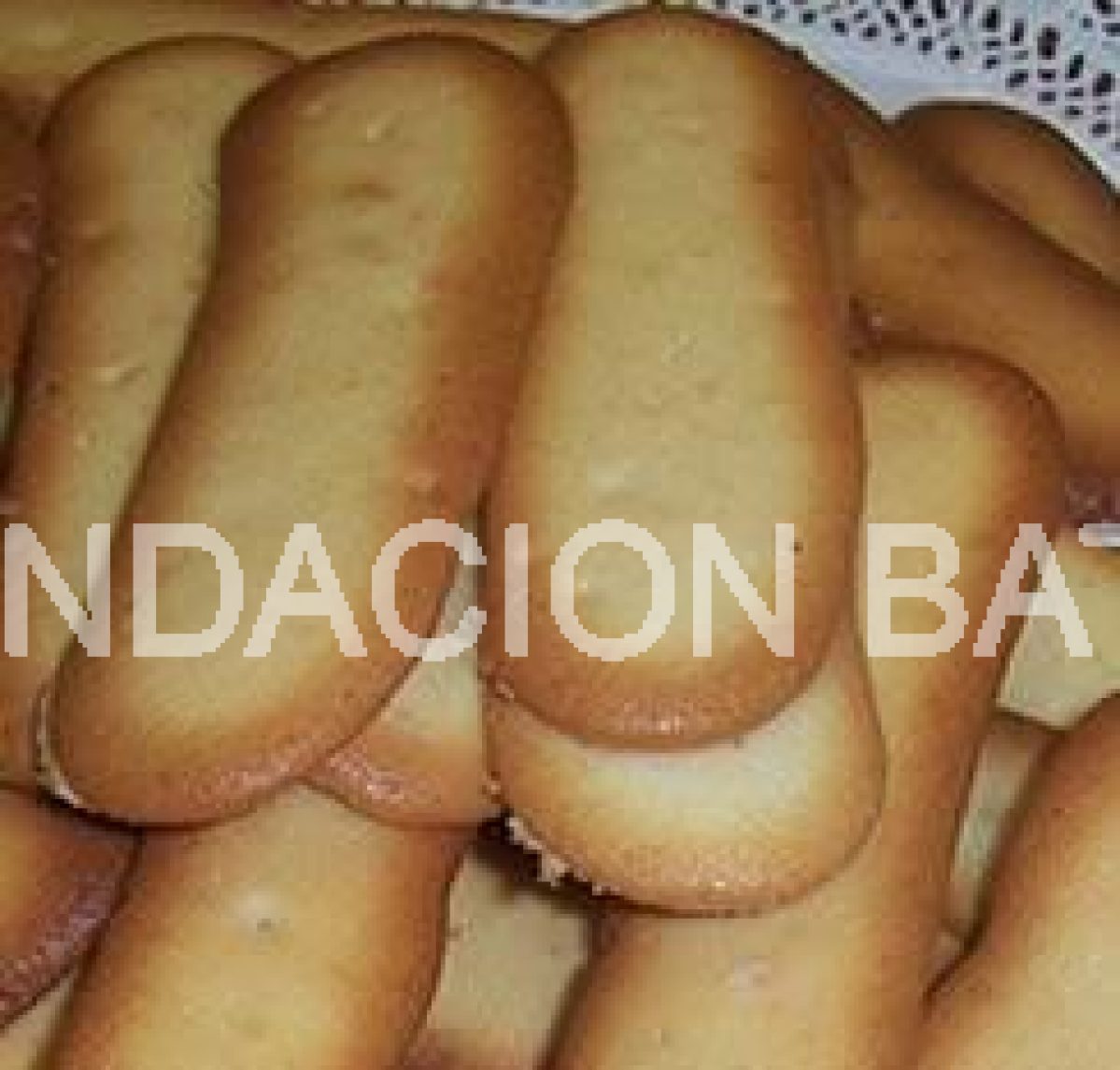 Lengua de Gato