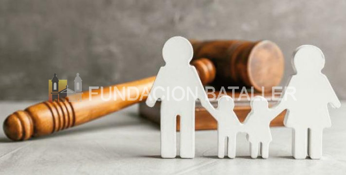 Competencia de los Ministerios<br>Públicos en materias no penales
