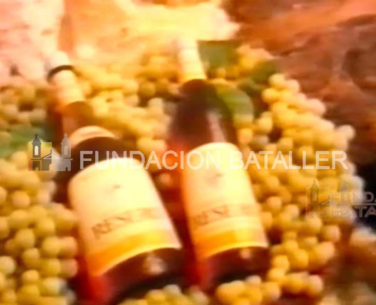 Resero, el vino que hizo famoso a San Juan