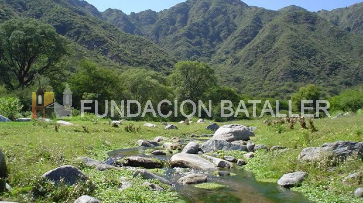 Los seis valles sanjuaninos que pintan de verde la provincia