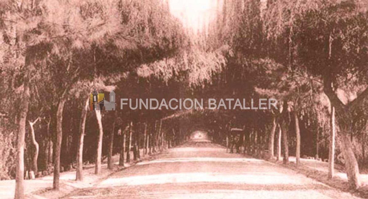 La calle de la paz