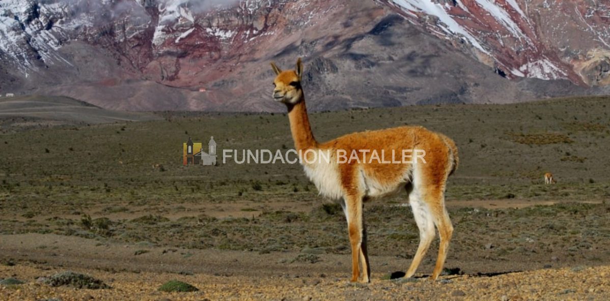Parque Nacional San Guillermo, belleza a la que pocos acceden