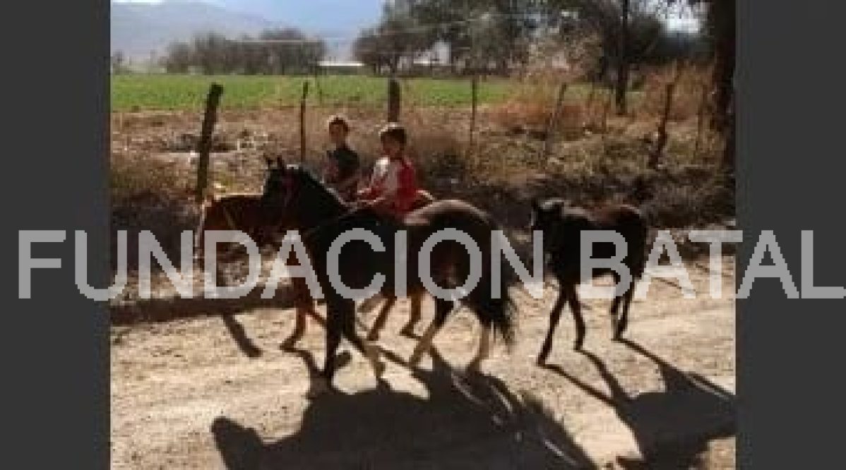 El pueblo Entre Ríos, de Jáchal