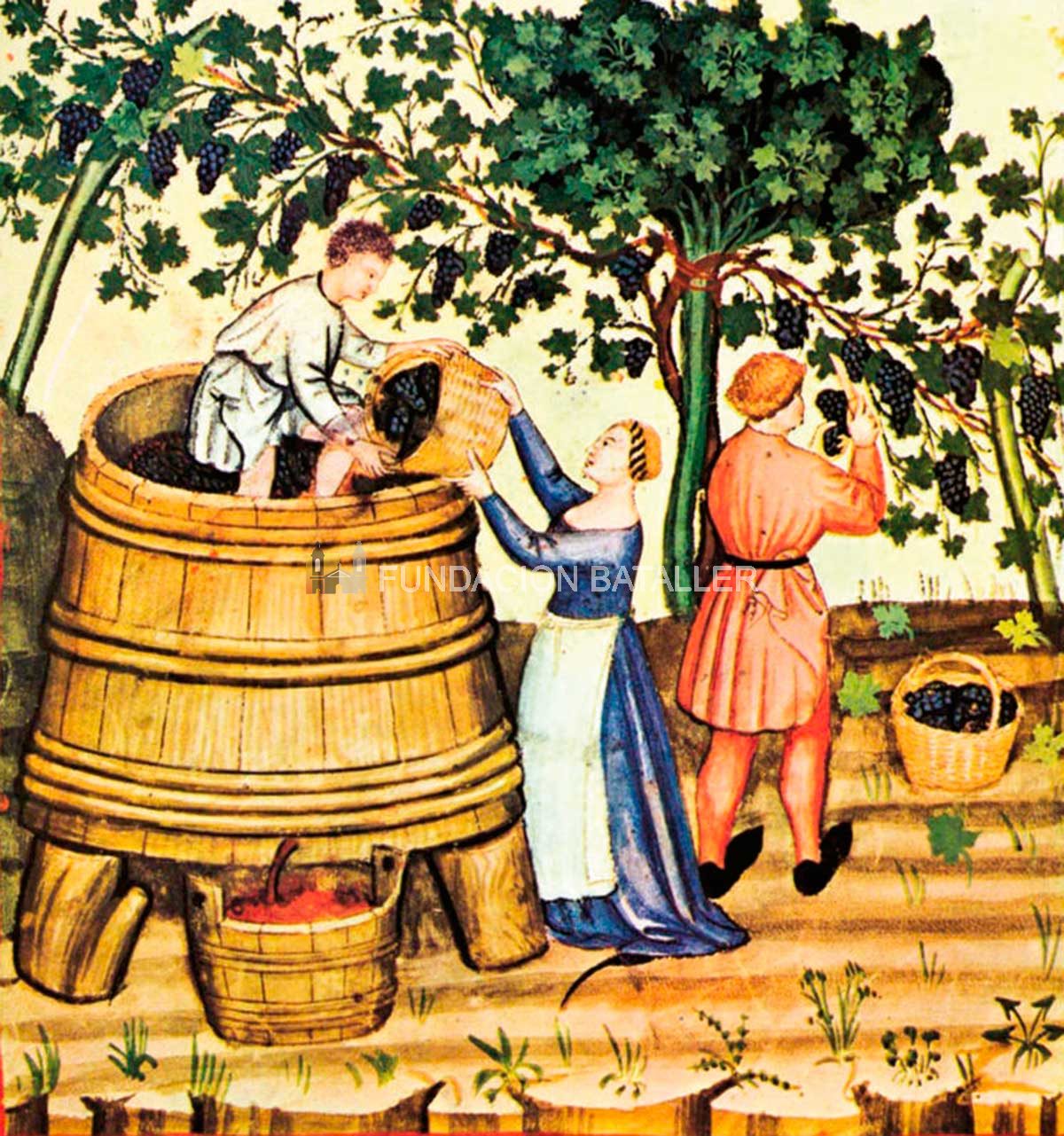 Juan Jufré y la vitivinicultura