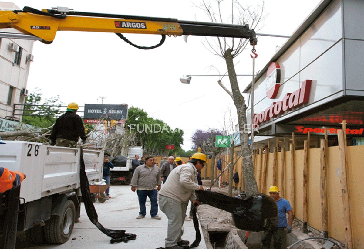 2018 – Llegan los nuevos árboles para la Peatonal