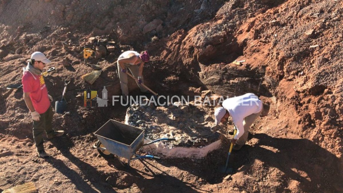 Balde de Leyes: una joya paleontológica clave para la ciencia en San Juan