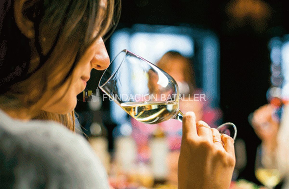 De palabras del vino en el breve diccionario de la vid y del vino (2006)