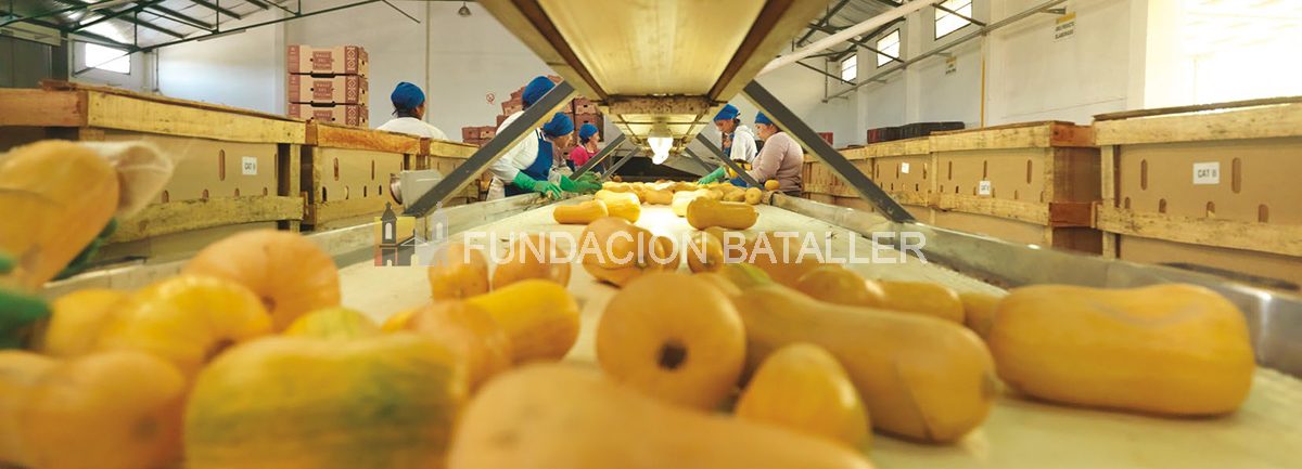 Exportaciones frutihortícolas de San Juan