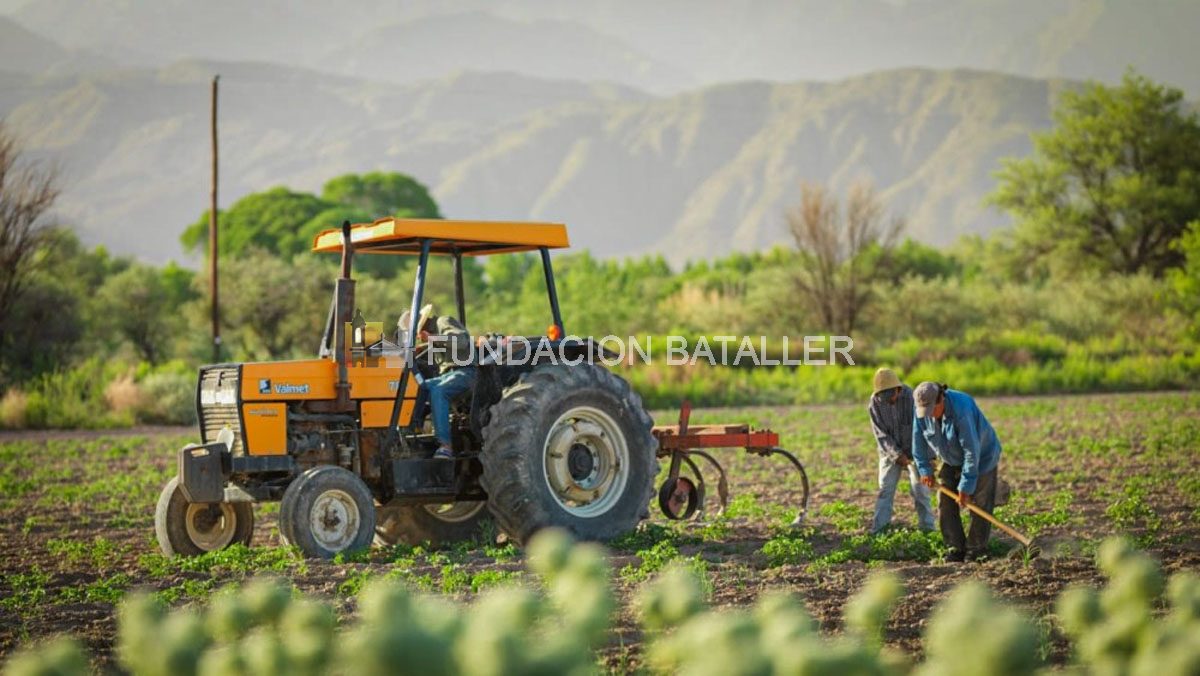 Asistencia financiera al sector agrícola en 2025