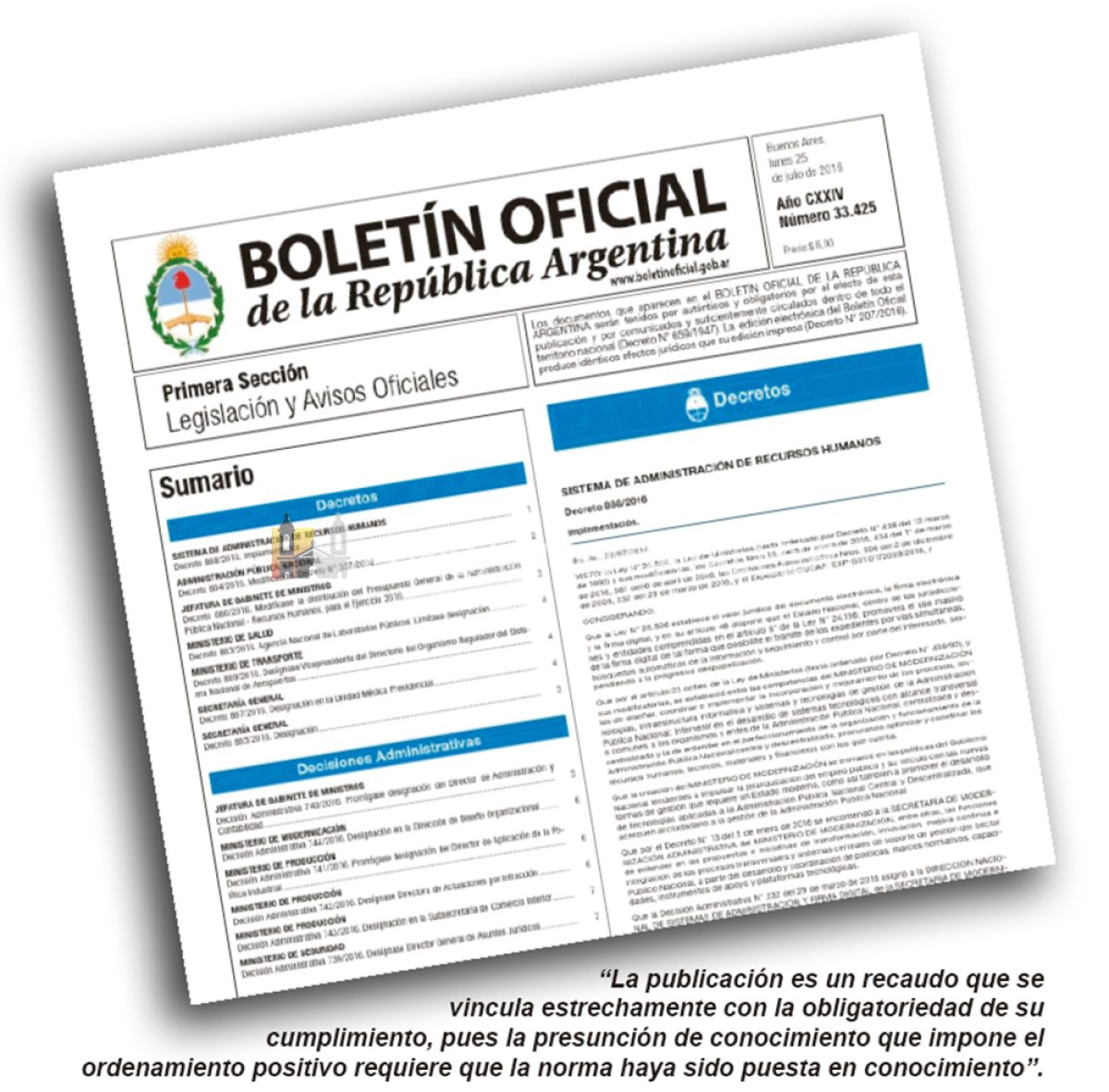 La publicidad de las normas como recaudo constitutivo del derecho al acceso a la información