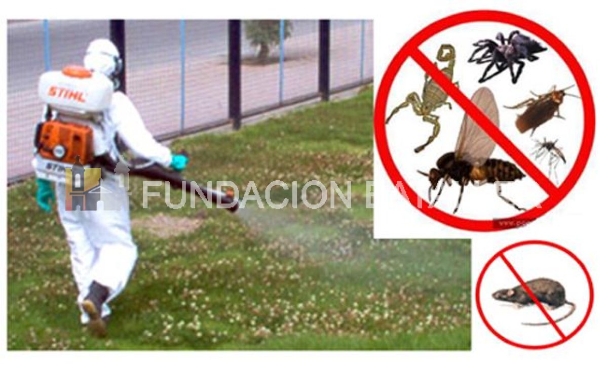 Jornada de Manejo Integrado de Plagas Urbanas