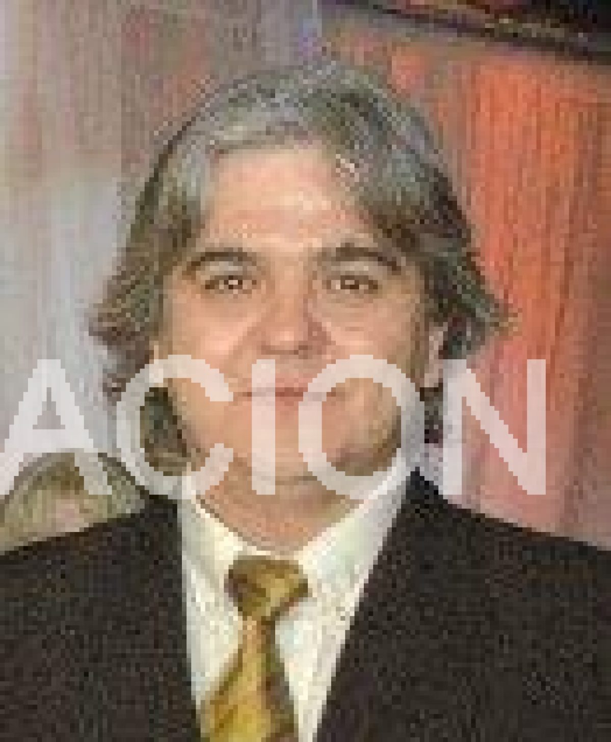 Néstor Illanes