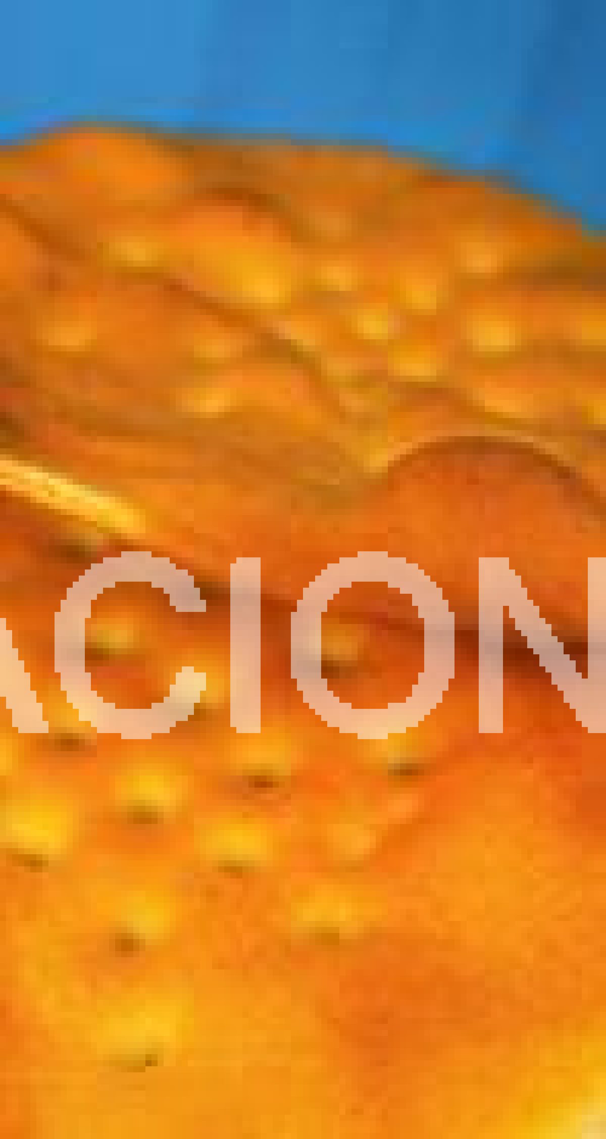 Pan árabe