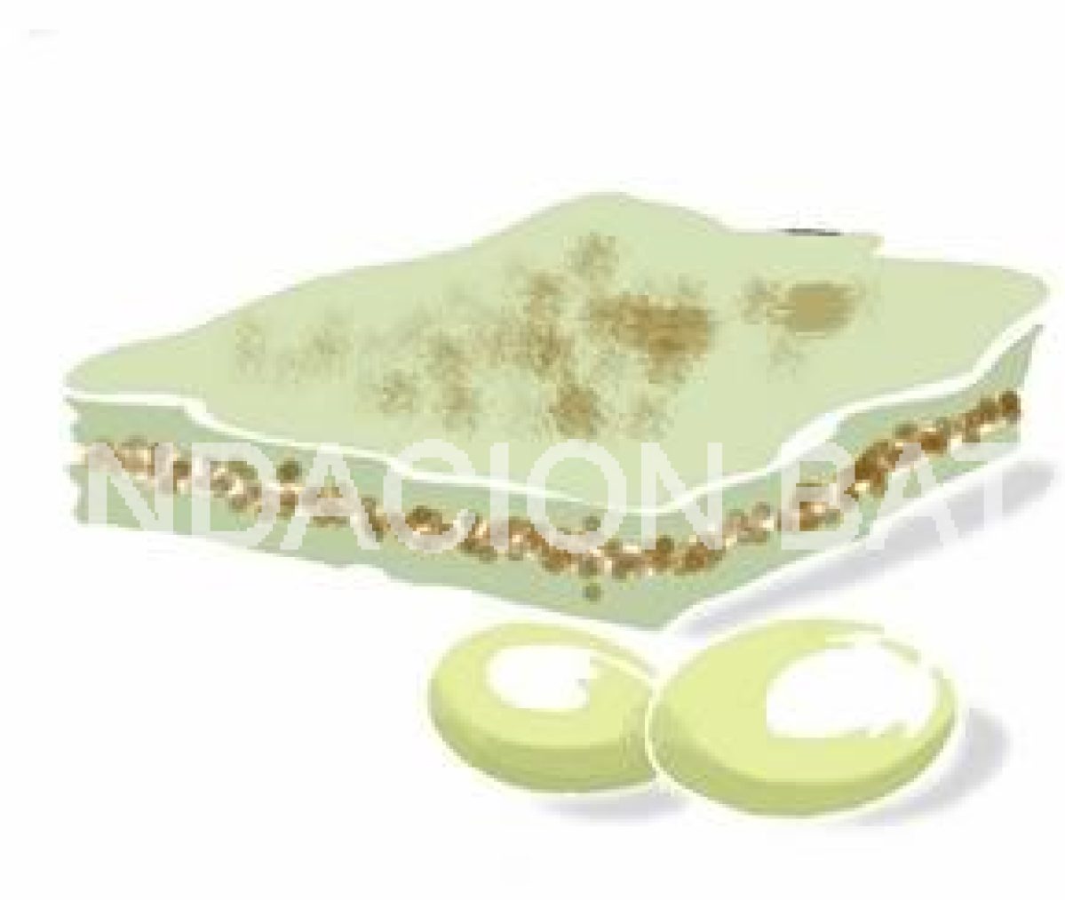 Pastel de papas