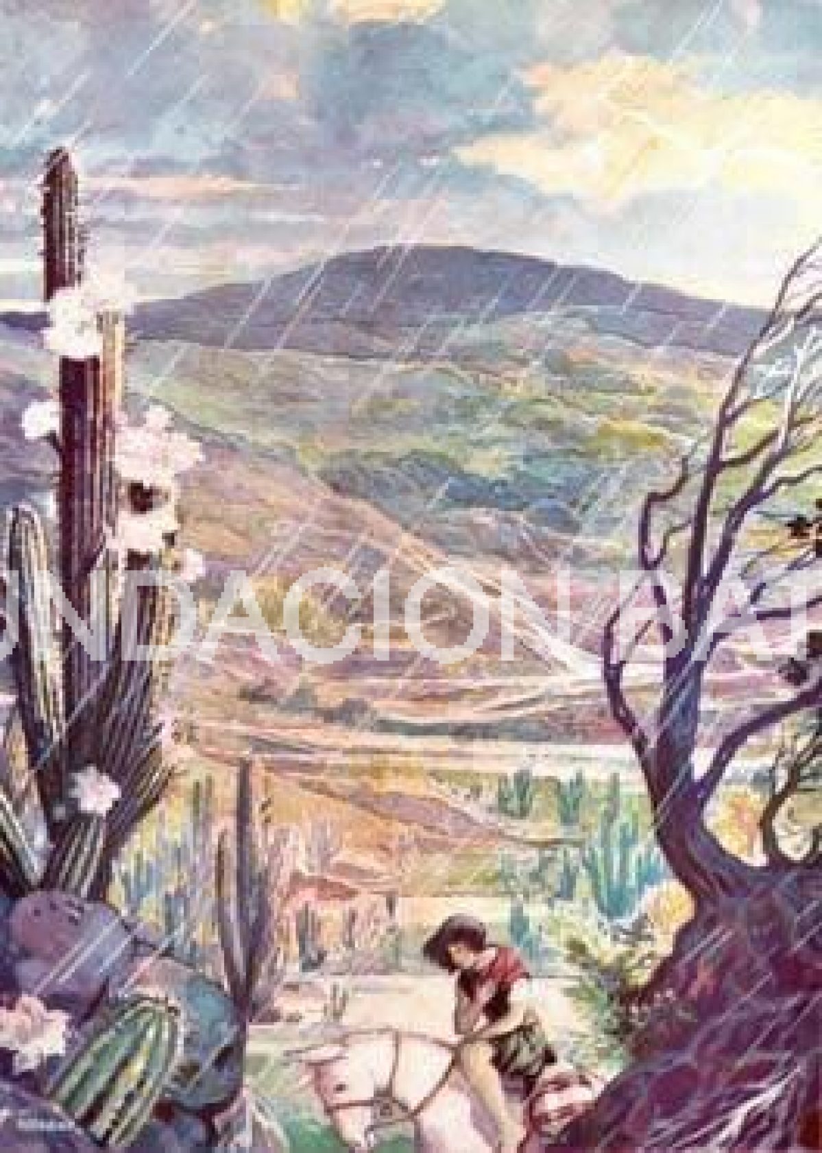 La Flor del Cacto