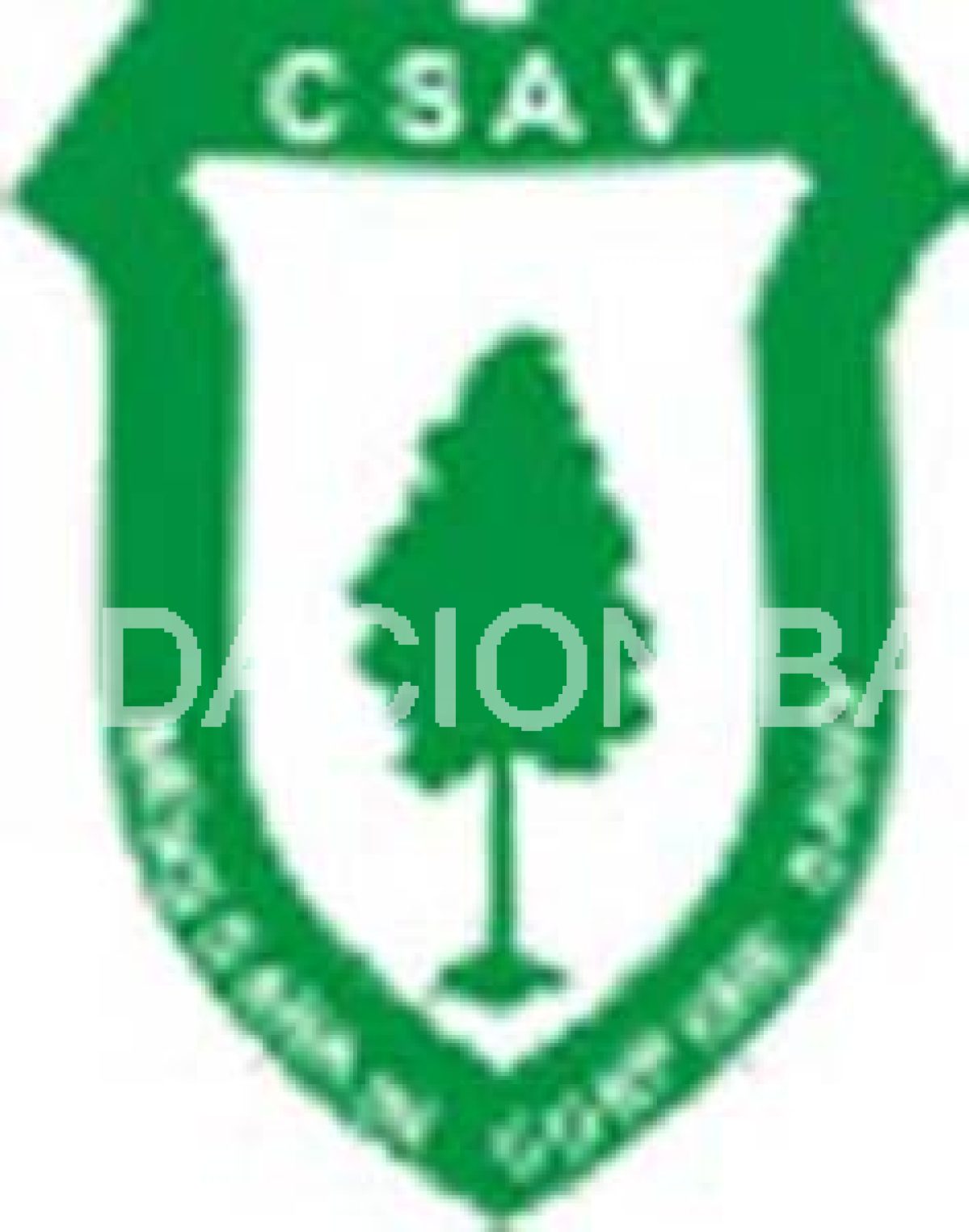 Club Sportivo Árbol Verde