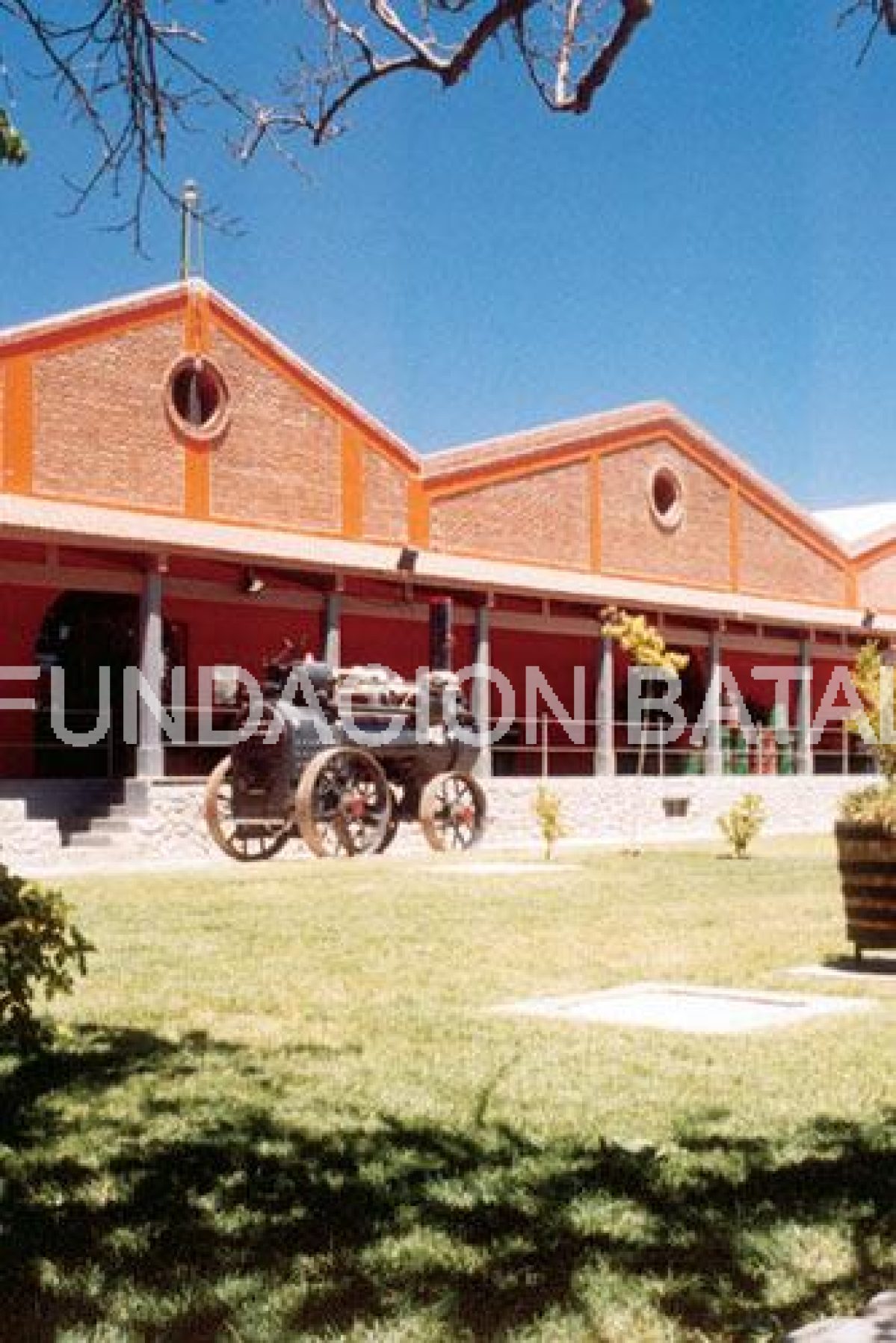 El Museo del vino Bodega Graffigna 