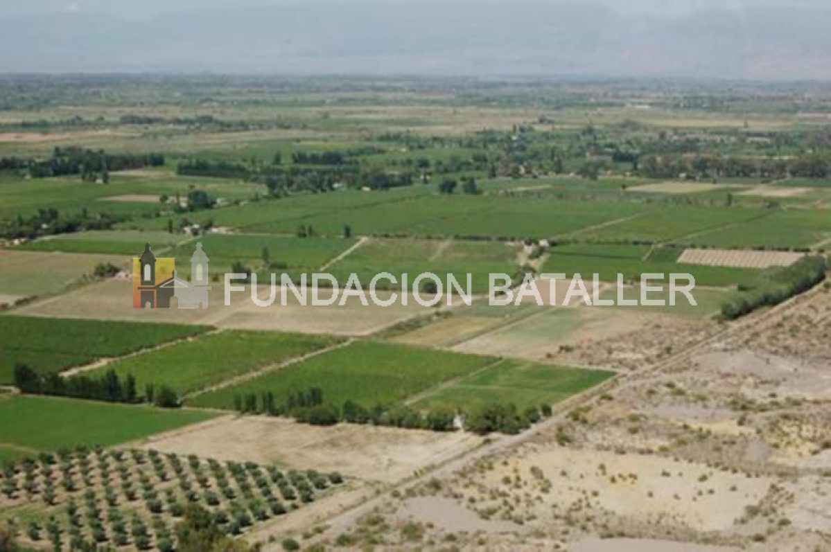 Agricultura
