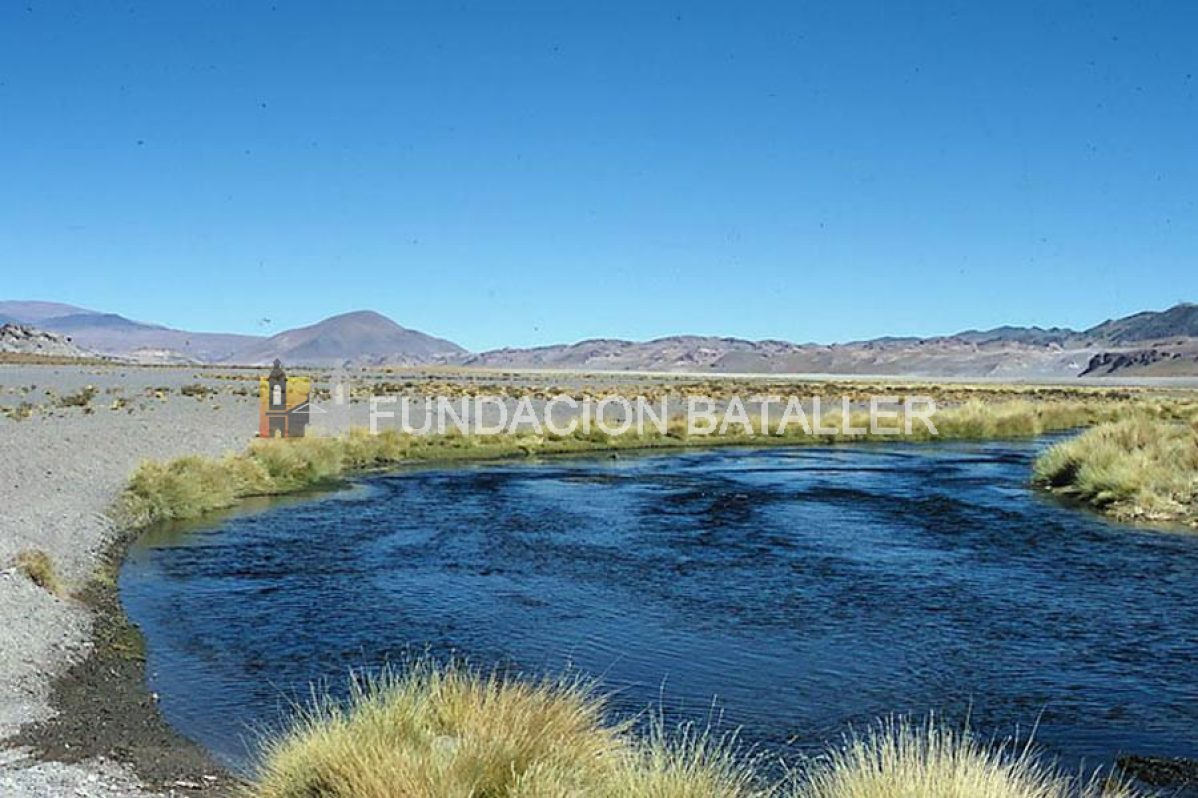 Río Los Patos