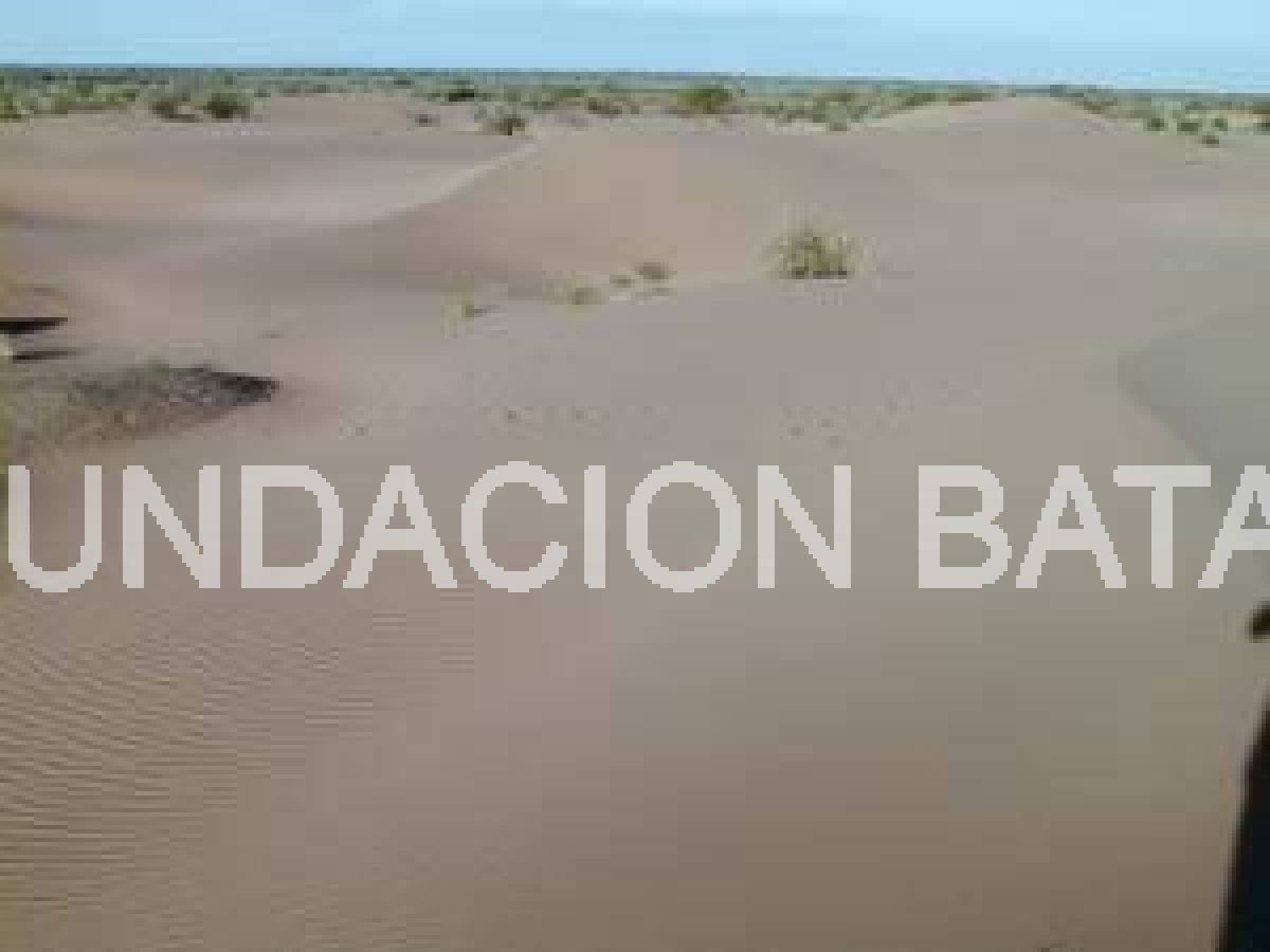Departamento 25 de Mayo