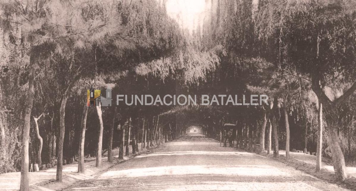 El cementerio