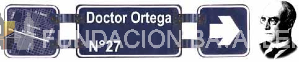 DOCTOR ORTEGA : El Escudo, su primer paso

