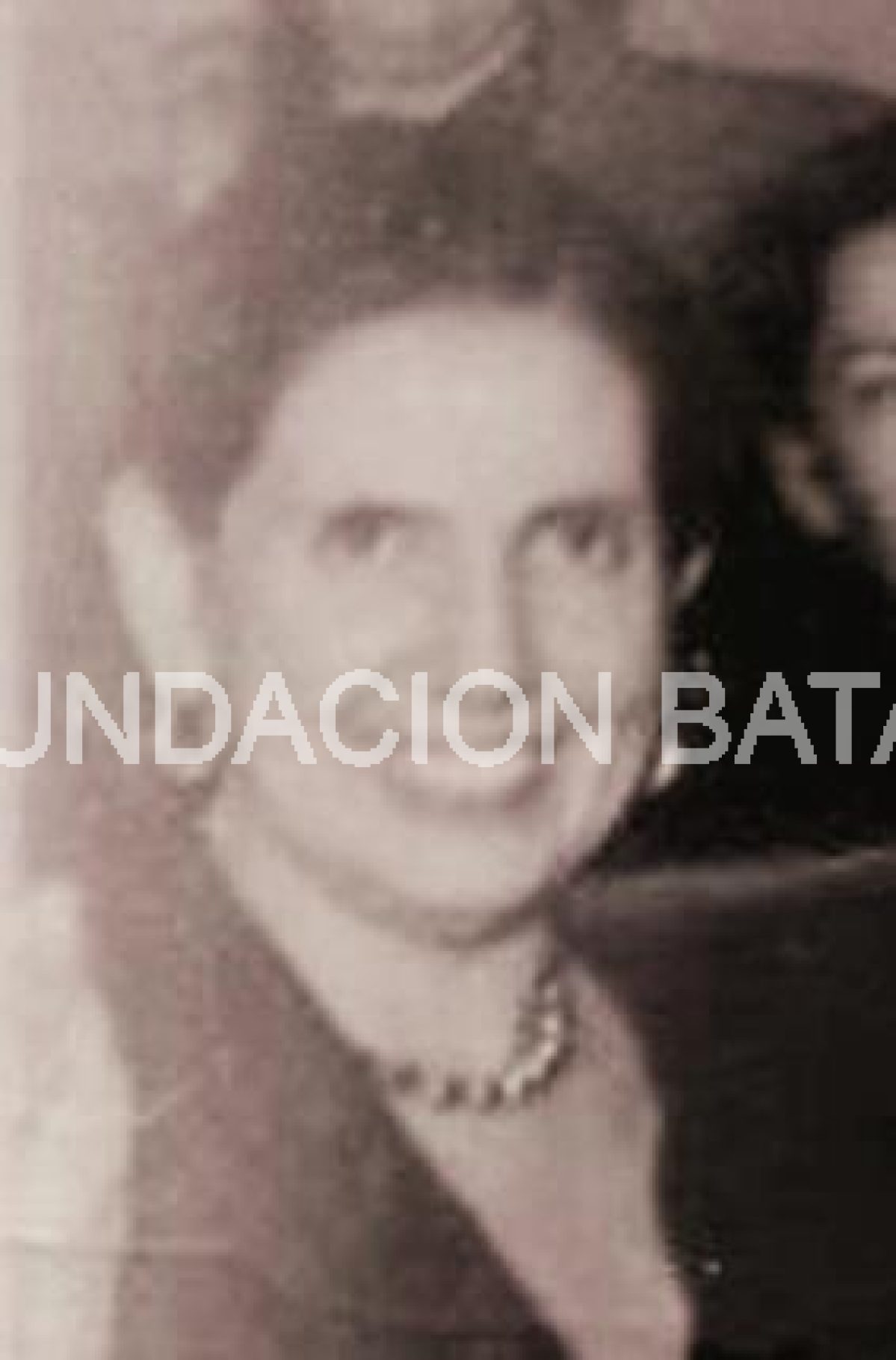 Vitel-Toné Por Hélida Basualdo de Godoy
